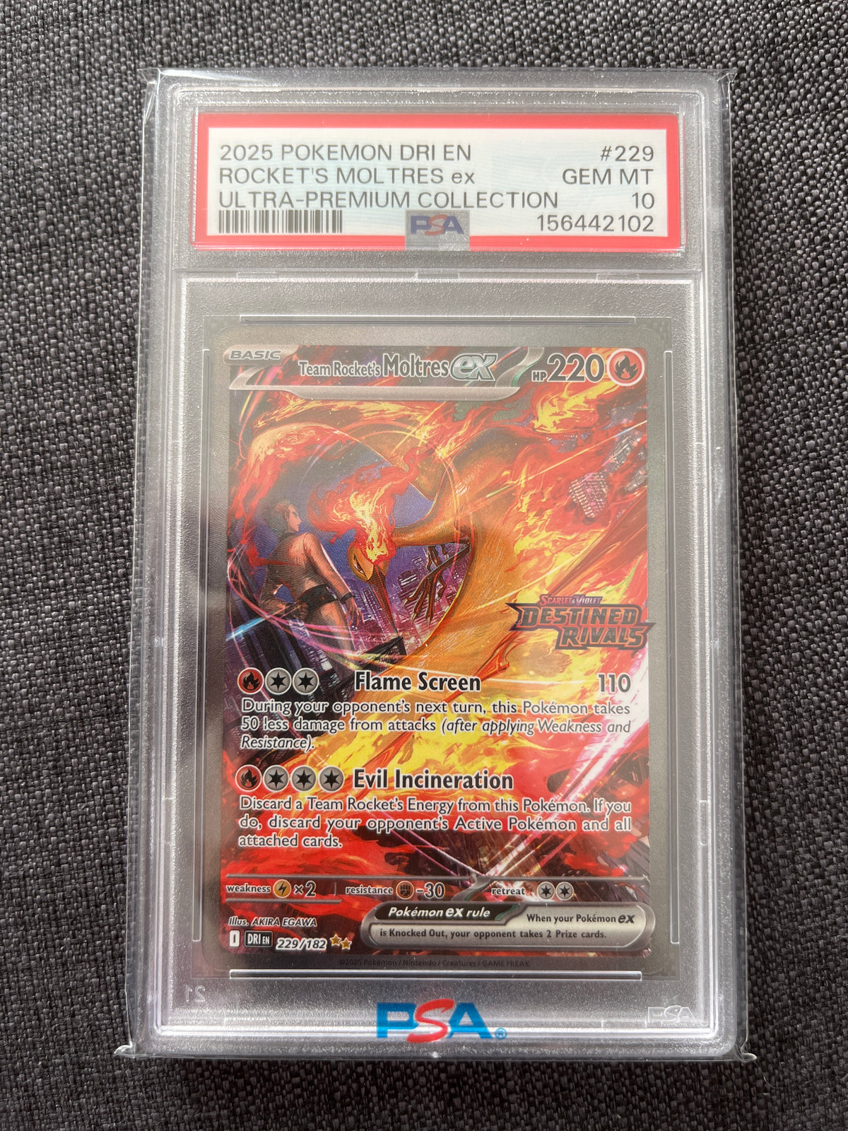 Pokémon Karte Team Rocket's Moltres ex (xDRI 229) PSA 10 - Destined Rivals: Stamped - English