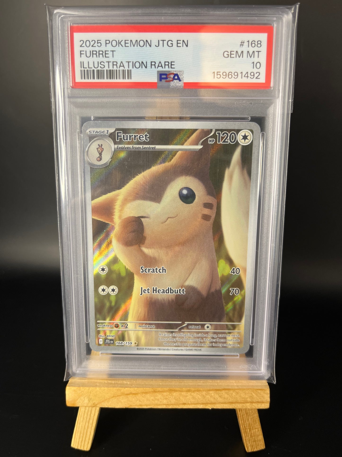 Pokemon Karte Furret (JTG 168) PSA 10 - Journey Together - English